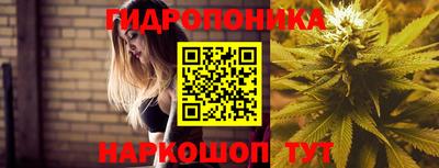кокс Будённовск