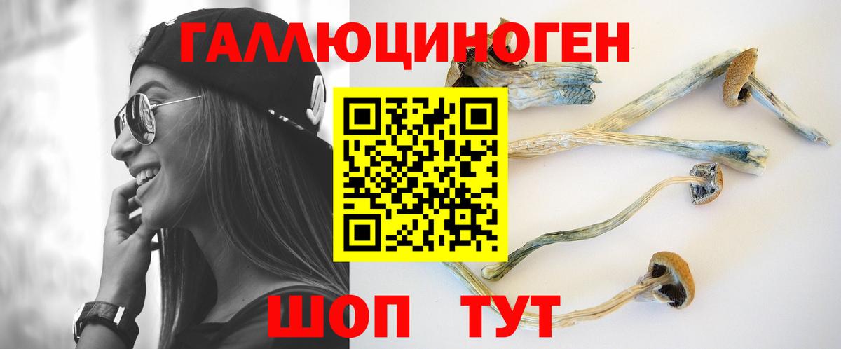 Ростов-на-Дону  где найти наркотики  Вход с VPN  Галлюциногенные грибы мухоморы 